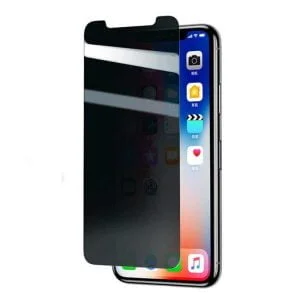 Apple iPhone X Zore Rika Premium Privacy Temper Glass